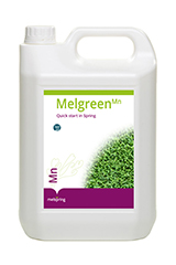 MELGREEN MN